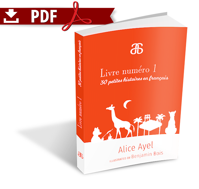 Livre numéro 1 – 30 petites histoires en français