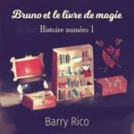 Bruno et le livre de magie